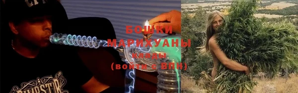 прущая мука Вяземский