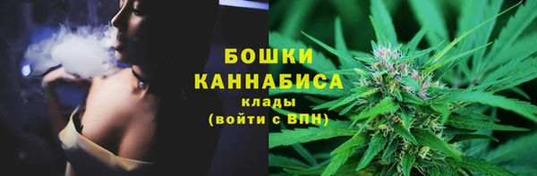 прущая мука Вяземский