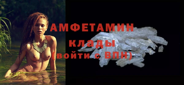 прущая мука Вяземский