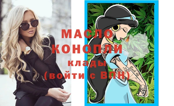 гашик Вязьма