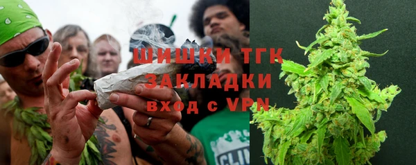 гидра Горно-Алтайск