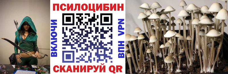 Псилоцибиновые грибы мицелий  Купить  Красково 